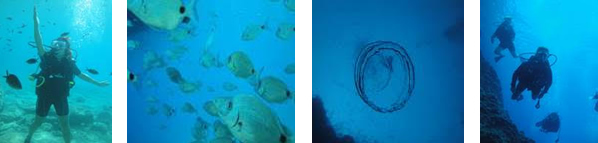 Çeşme Dalış ve Tatil Turu (ERT & MTM SCUBA )