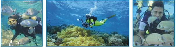 Bodrum Dalış ve Tatil Turu