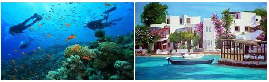 Bodrum Dalış ve Tatil Turu
